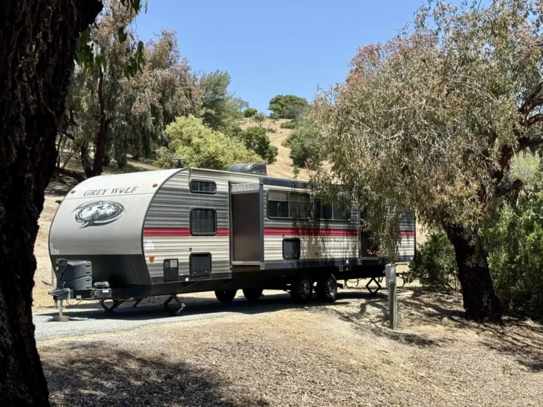 2019 Forest River Cherokee Grey Wolf Featured Image